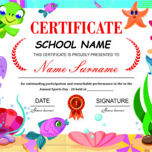 Certificate V17